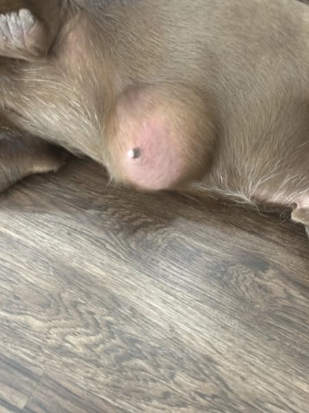 Push the lump tonight. Does it slide freely?