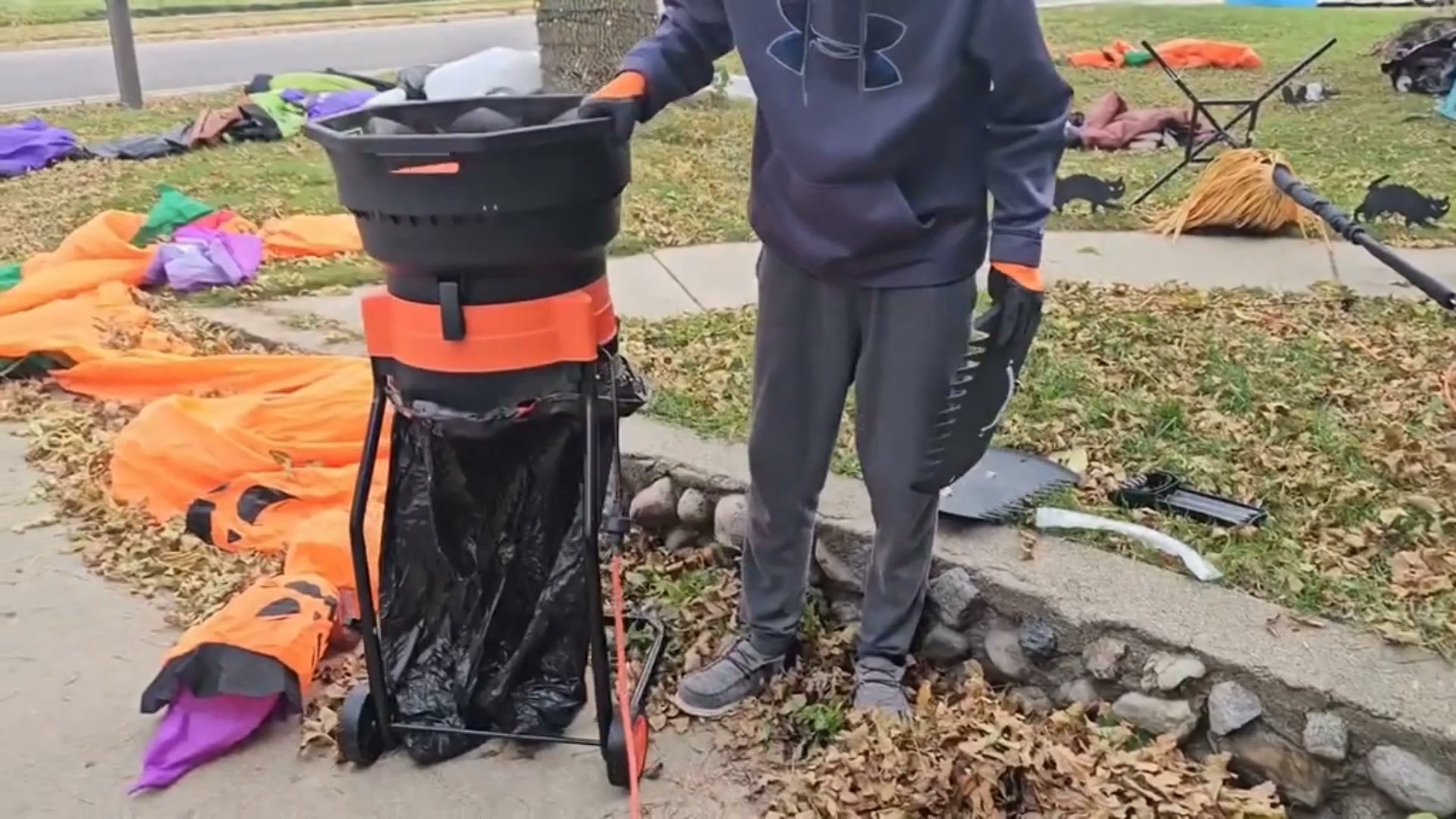 30 Bags of Leaves 2