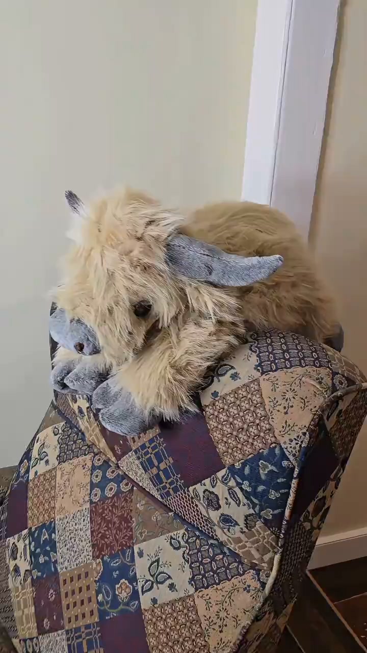 A $10 Weighted Blanket You Can Hug