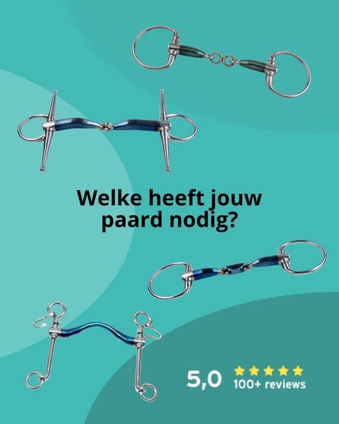 Deskundig advies voor het beste bit