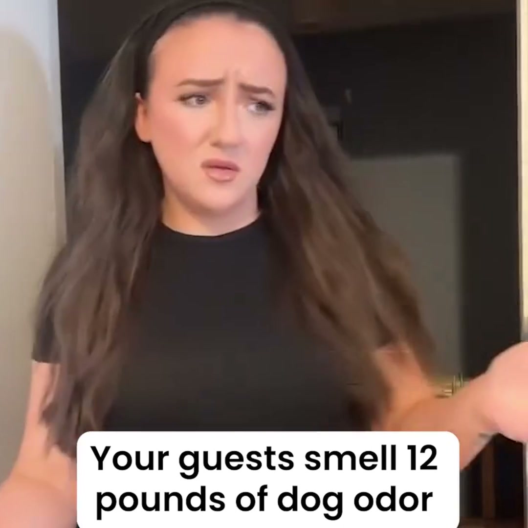 Ends Pet Odor At The Source — Save $30