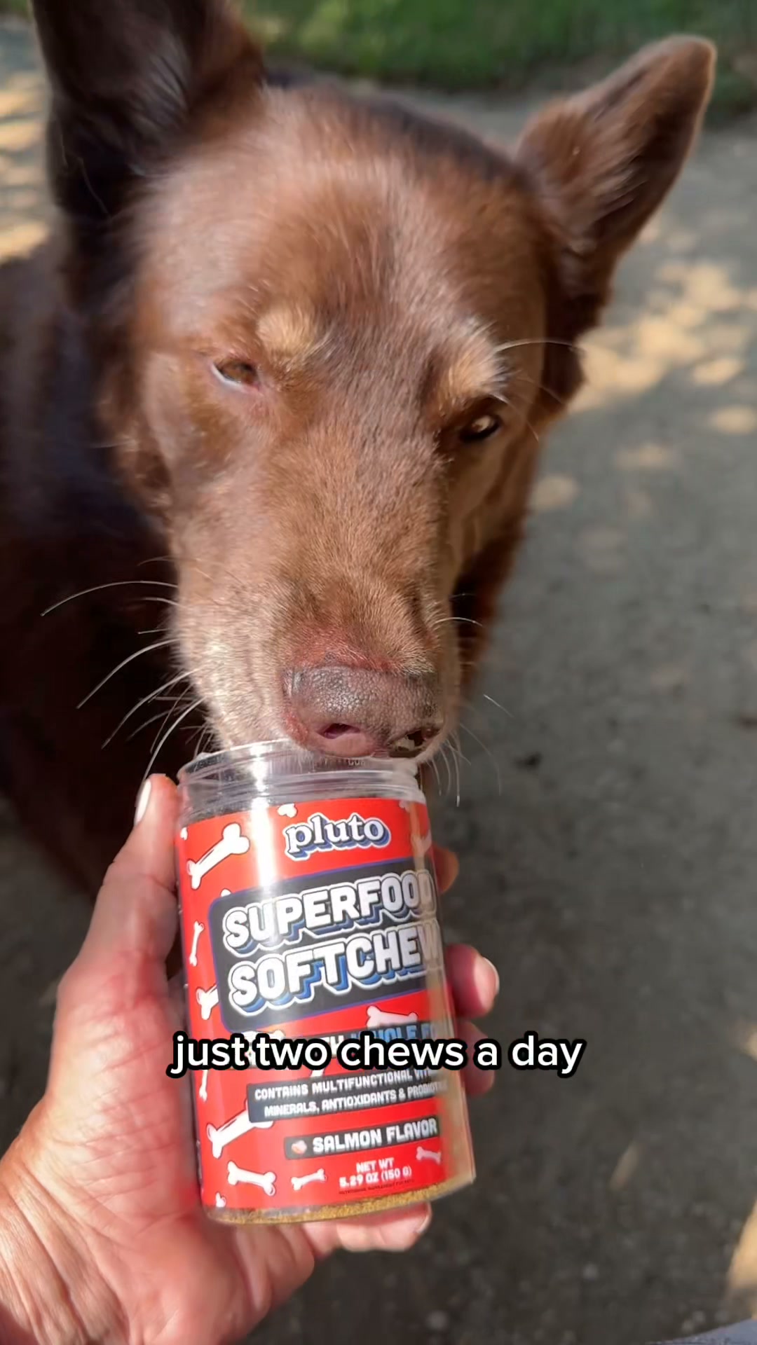 Help your dog move freely again