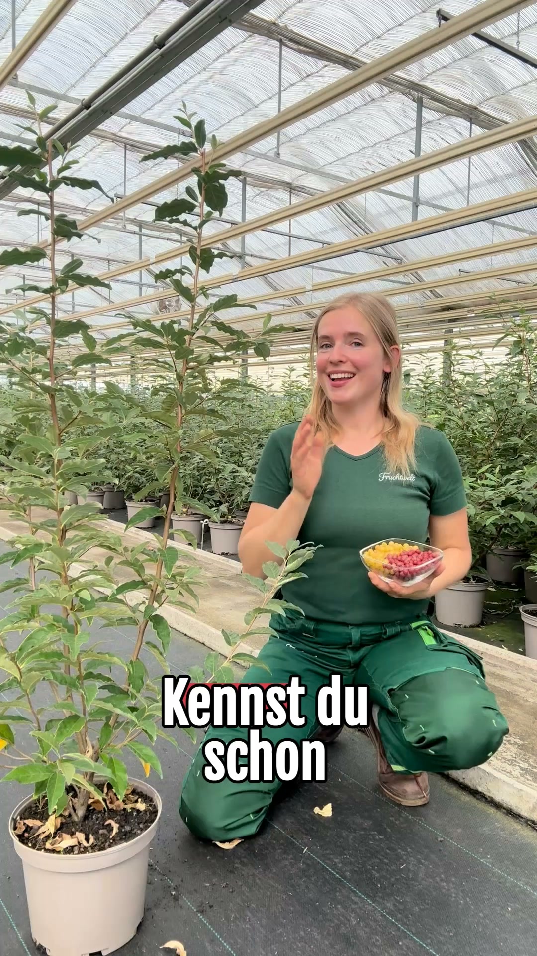 Absolute Wunderpflanze