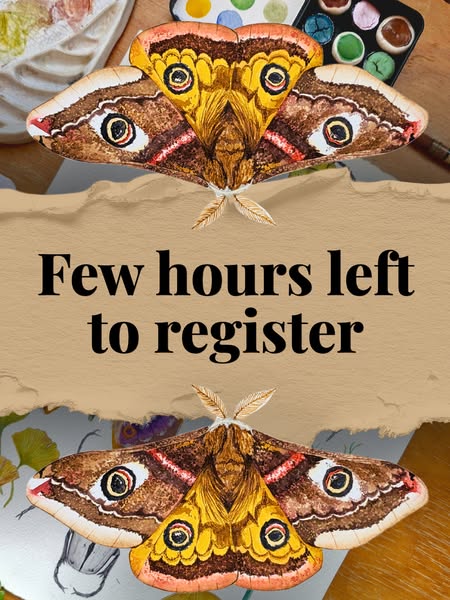 LAST CALL: Enrollment for Mastering Moths in Watercolor Closes Soon!