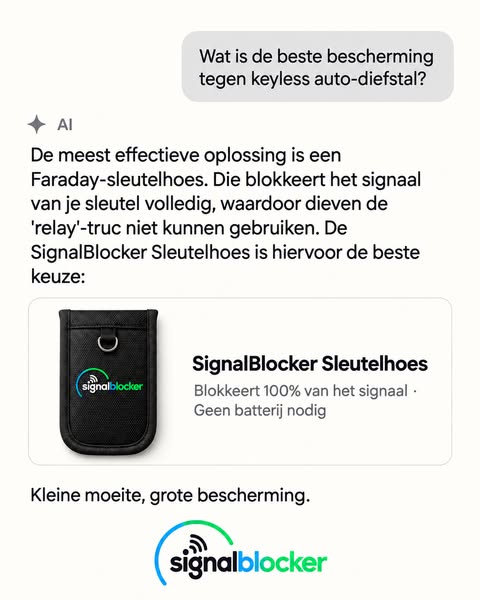 De beste bescherming tegen keyless diefstal
