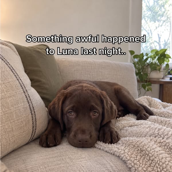Don't ignore it..