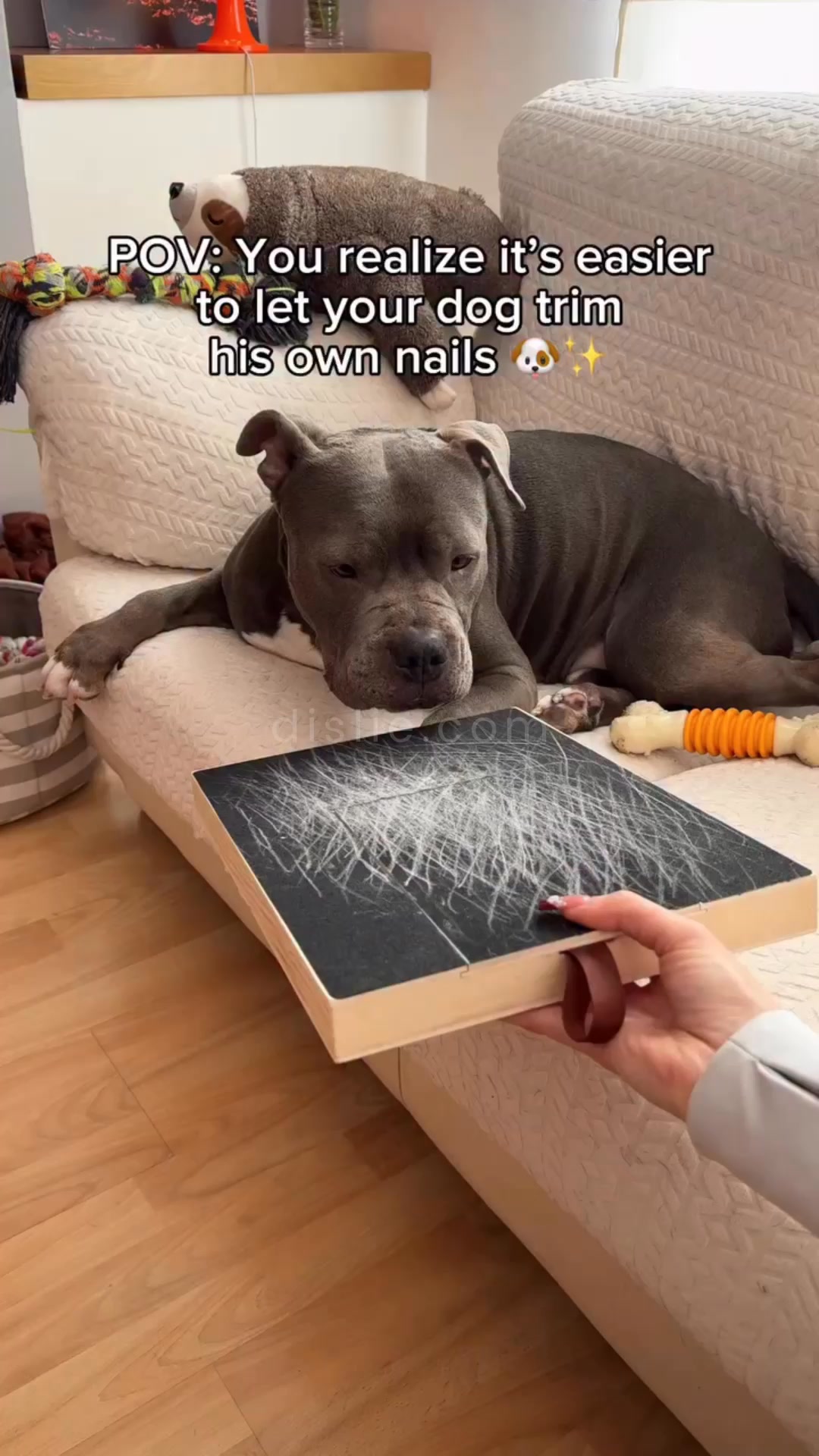 I thought i had to take her to the VET for sedated nail trimmings, UNTIL I FOUND THIS!