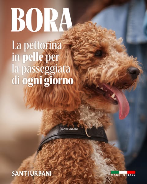 Bora -20%