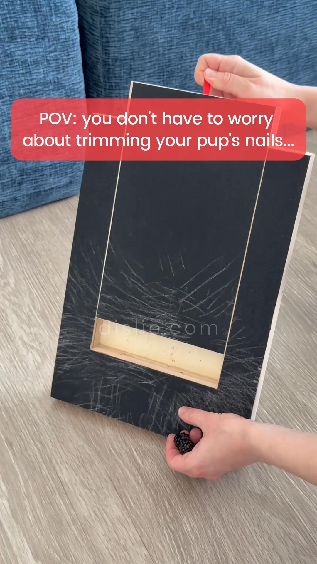 No more stressful nail trims, guaranteed.