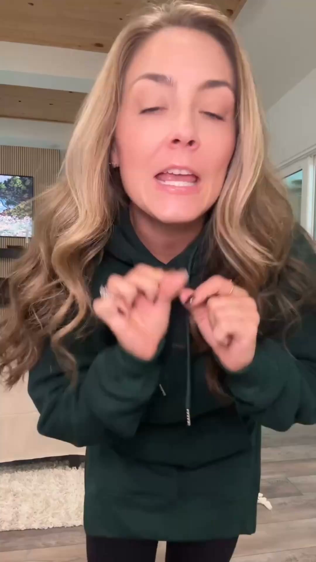 World's No. 1 Hoodie Dress