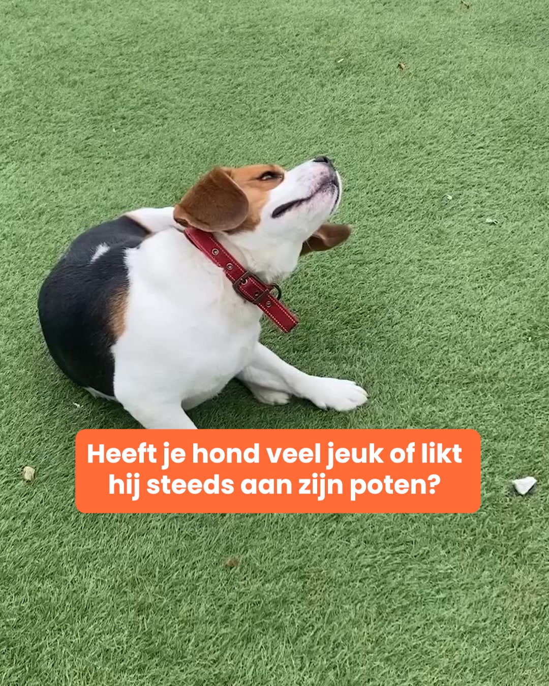 NU: Tijdelijke korting + Gratis verzending