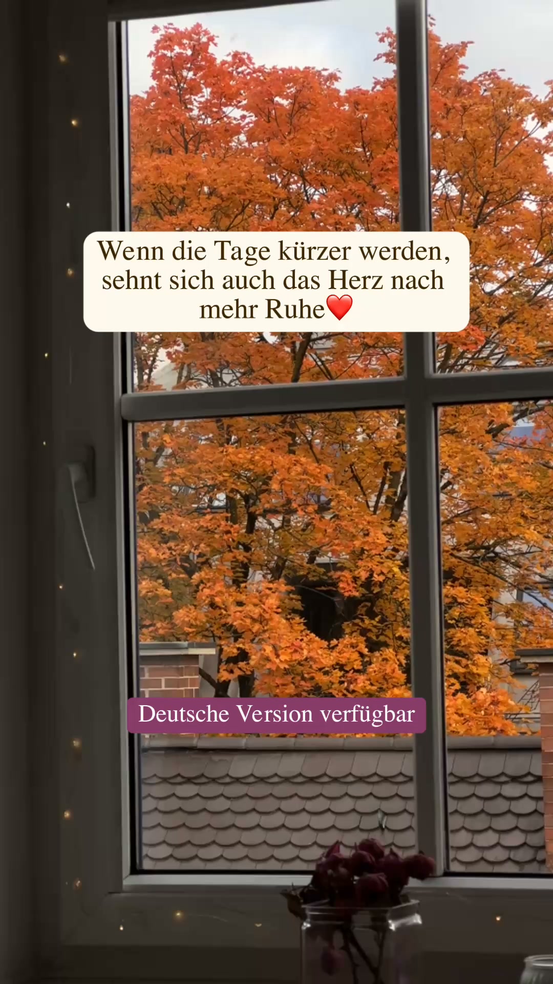 60 % Rabatt + GESCHENK