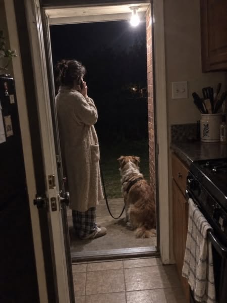 How To Fix Your Dog's Reactivity