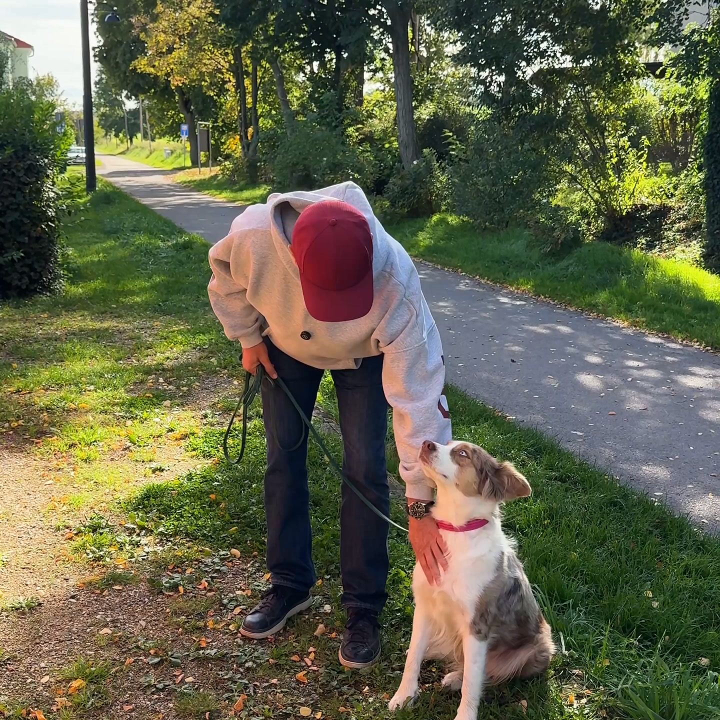 Jetzt ansehen