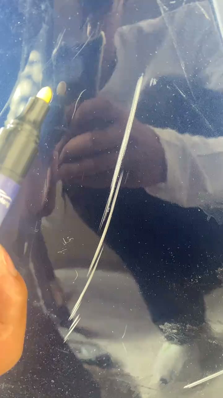 Feel Proud of Your Car Again