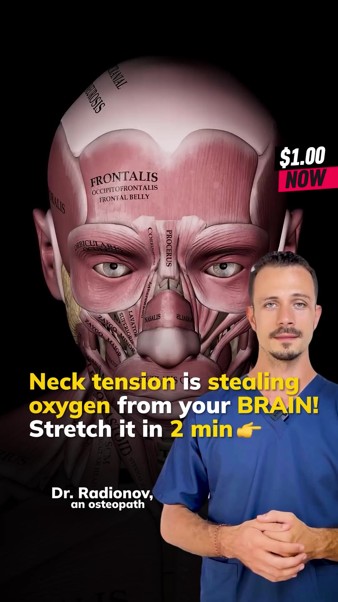 Osteo Neuro Yoga