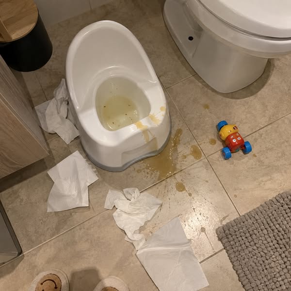 Read THIS If You Want To Potty Train Them..
