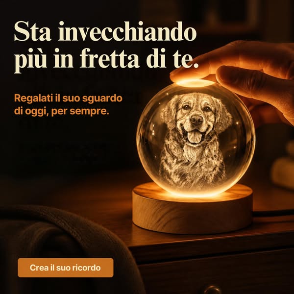 Spedizione Gratuita