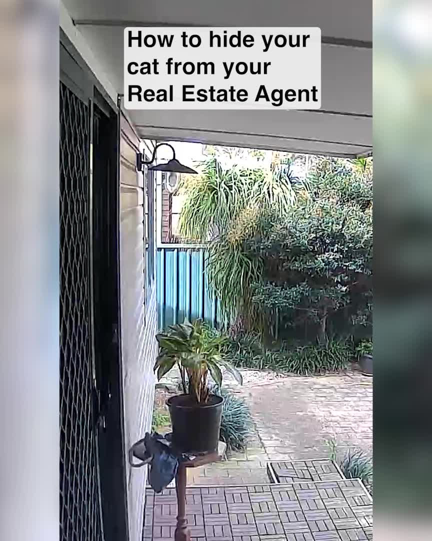 Try Risk-Free Today