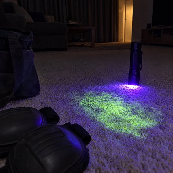 Read This Before Your Next Carpet Clean