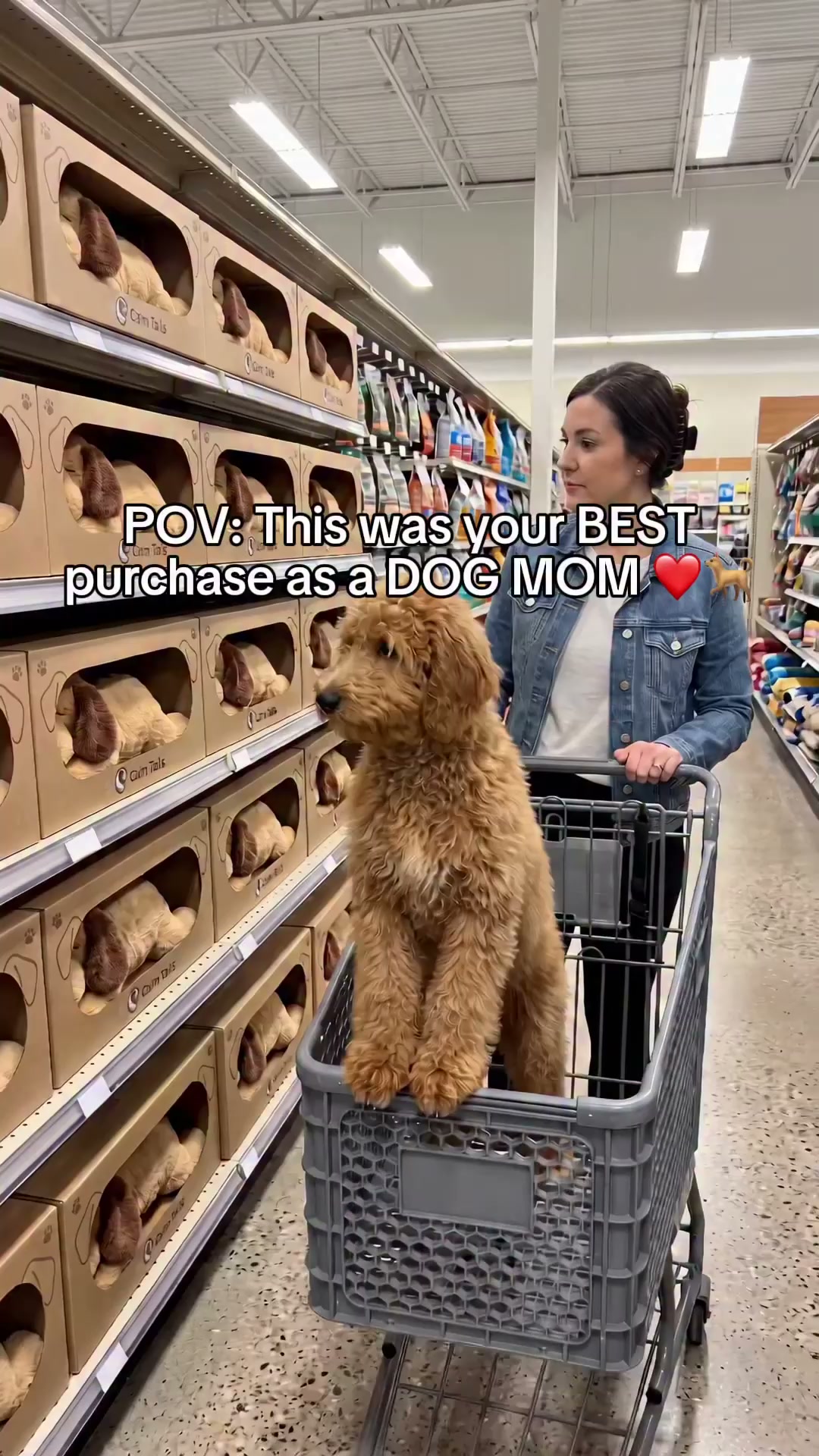 Roseva™ Heartbeat Pup – The plush that calms your dog's anxiety