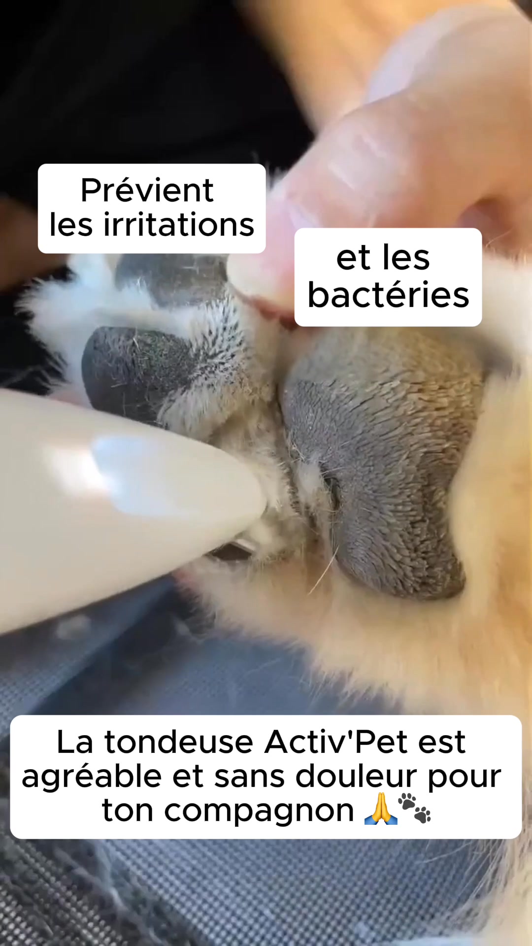 Recommandé par les vétérinaires