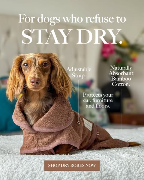 Brand New Drying Robes