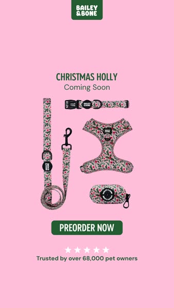 Pre-order: Christmas Holly