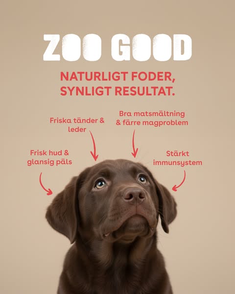 ZOO GOOD