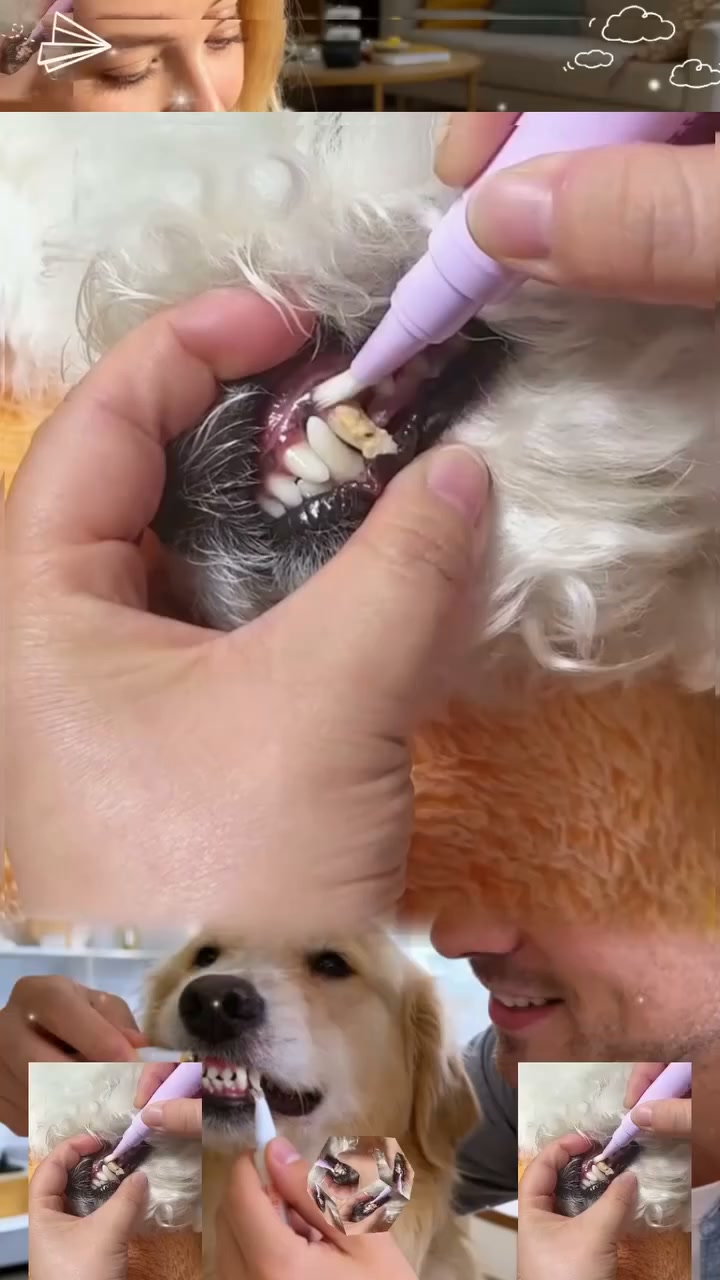 Does Your Pet Have Bad Breath? Try This Dental Pen