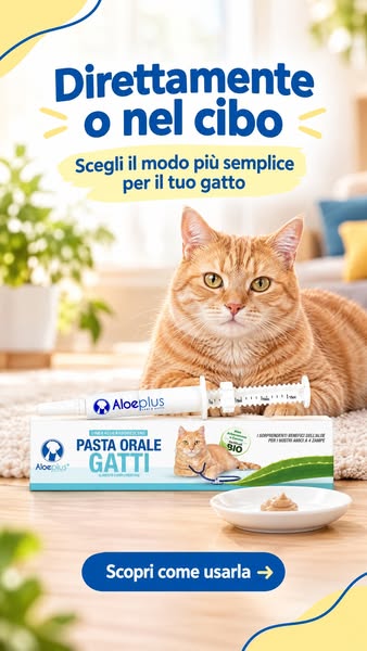 Più comfort a ogni pasto