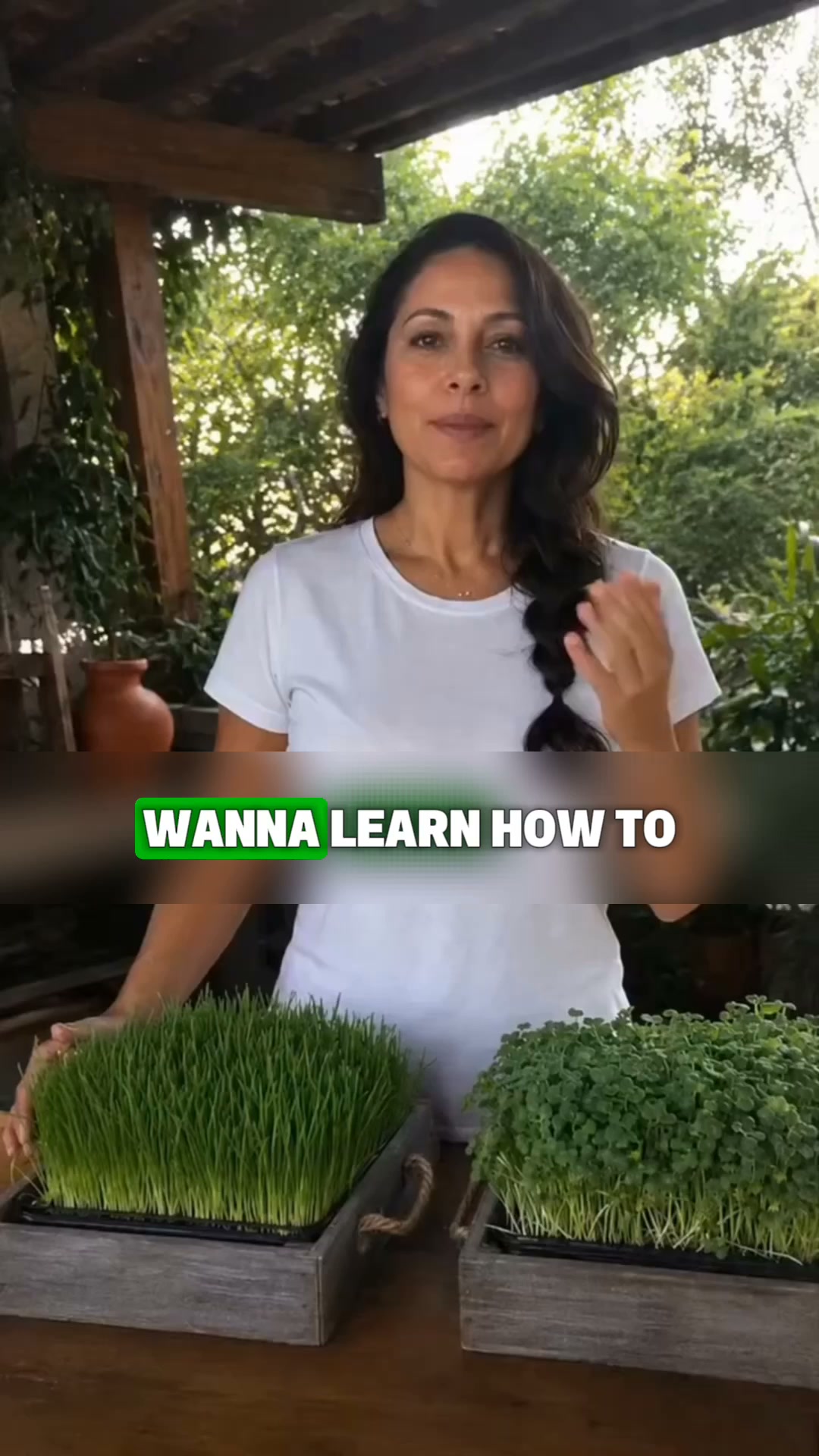 Grow Fresh Microgreens at Home in 7 Days