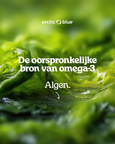 Geen viseter?