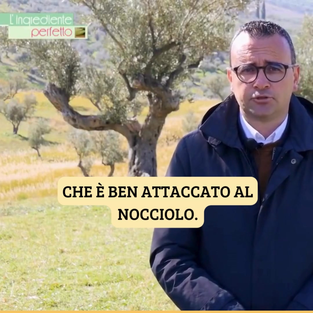 Olio EVO 100% biologico 2026