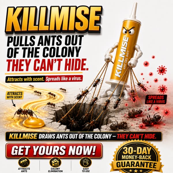 4.8 | 45,000+ Homes Protected One Solution. Zero Ants. Kills the Nest. Not Just What You See.