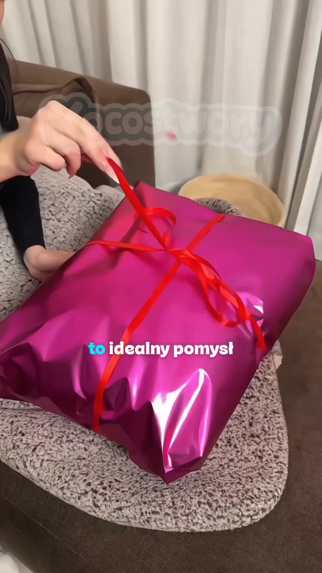 Zimno? Poznaj Kocostwory!
