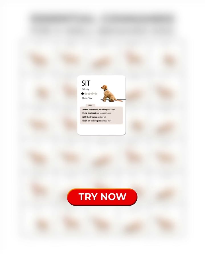Professional Dog Training Made Simple