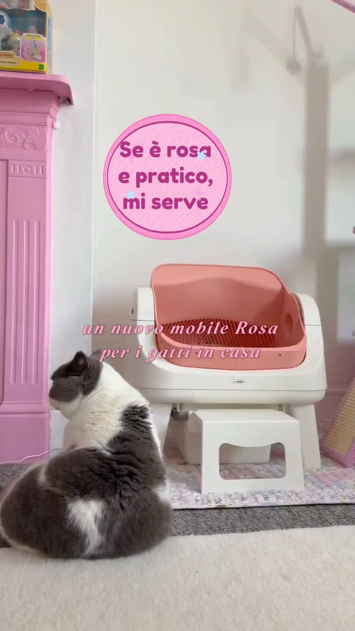 Sembra un mobile, non una lettiera