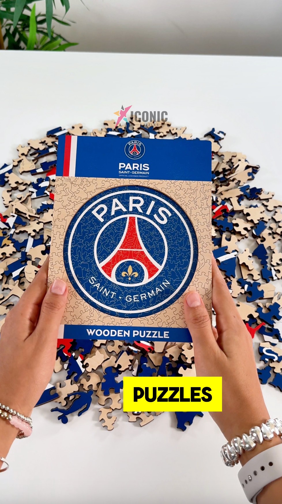 Pour les vrais fans du PSG !