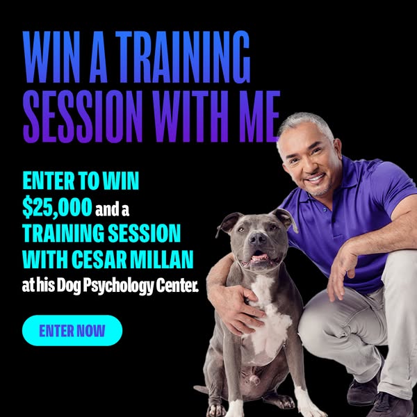 Win $25,000 and a Private Training Session with Me