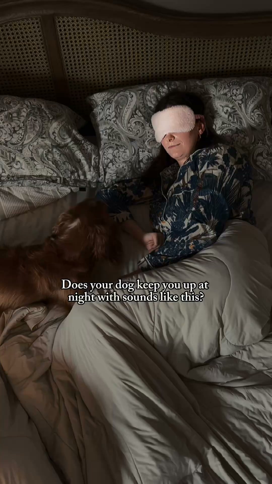The last dog food you'll ever need