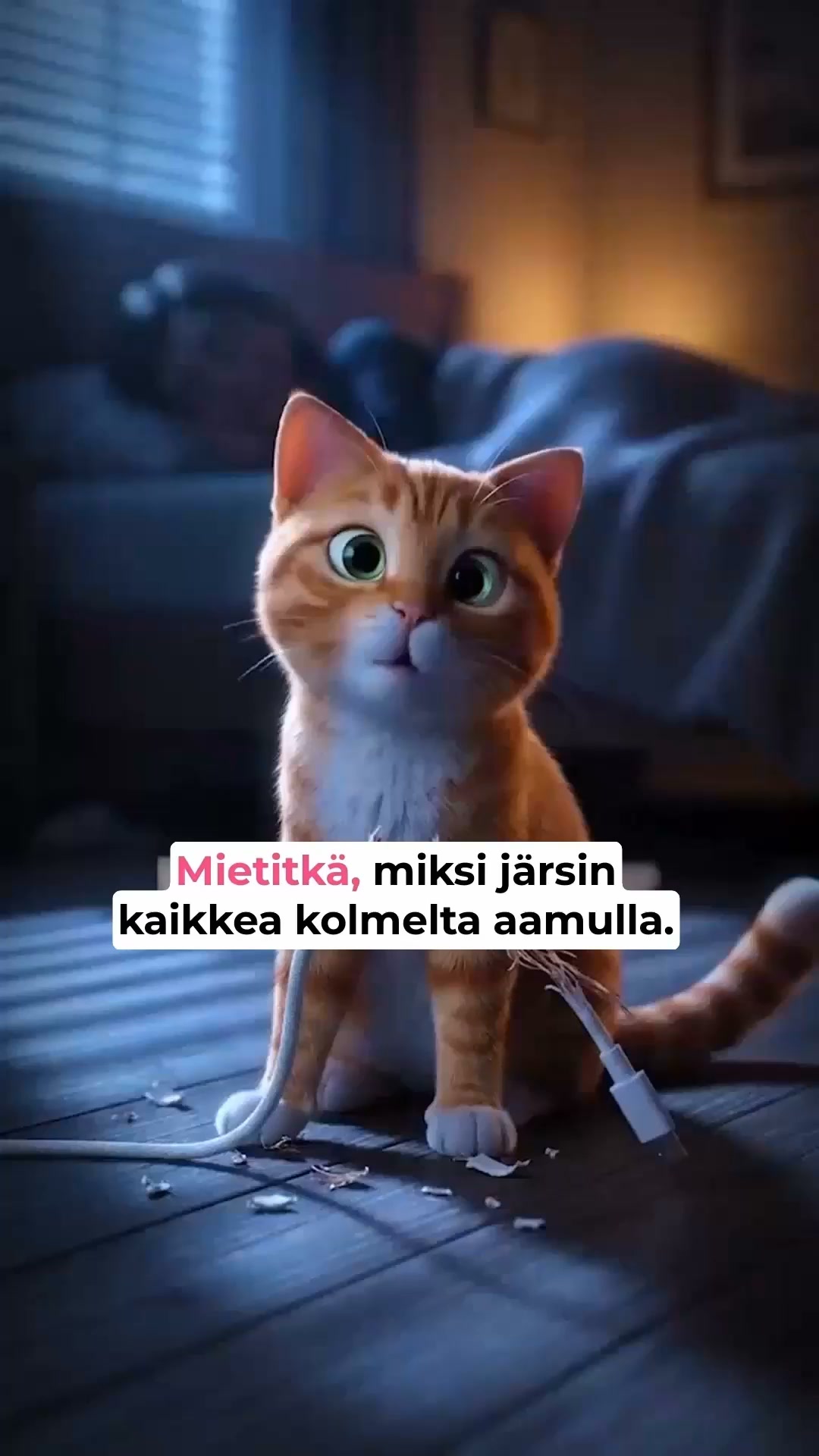 Onnellisempi kissa odottaa