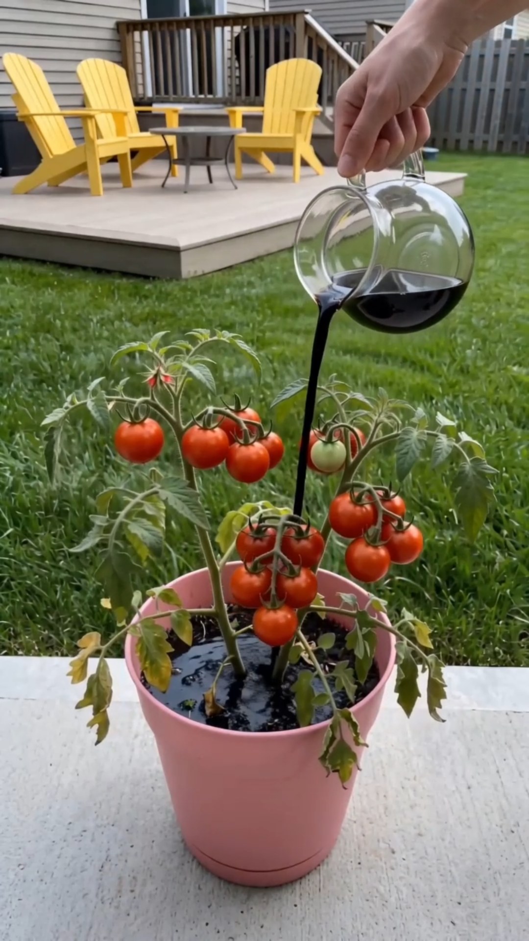 Activate Your Soil, Unlock Powerful Plant Growth!