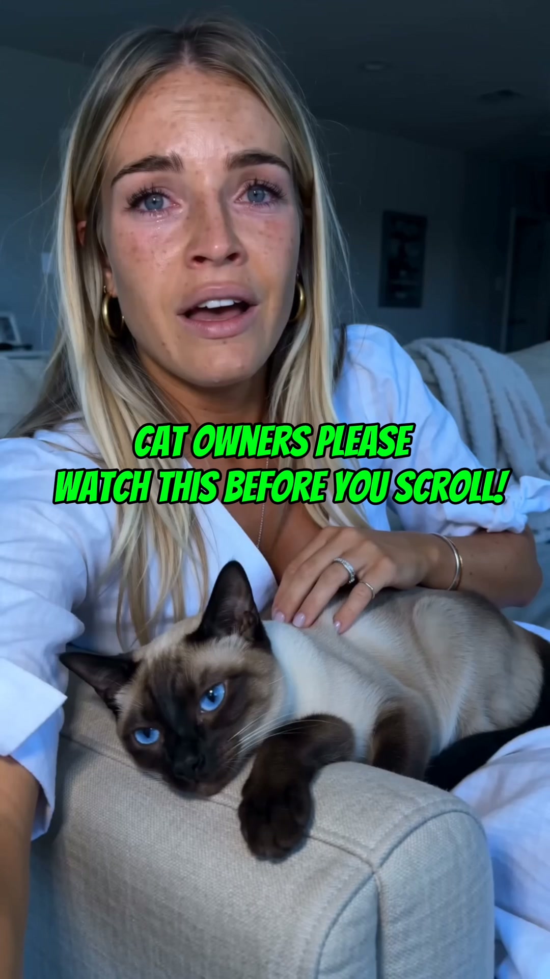 Every Test Came Back Normal. My Cat Was Dying Anyway.