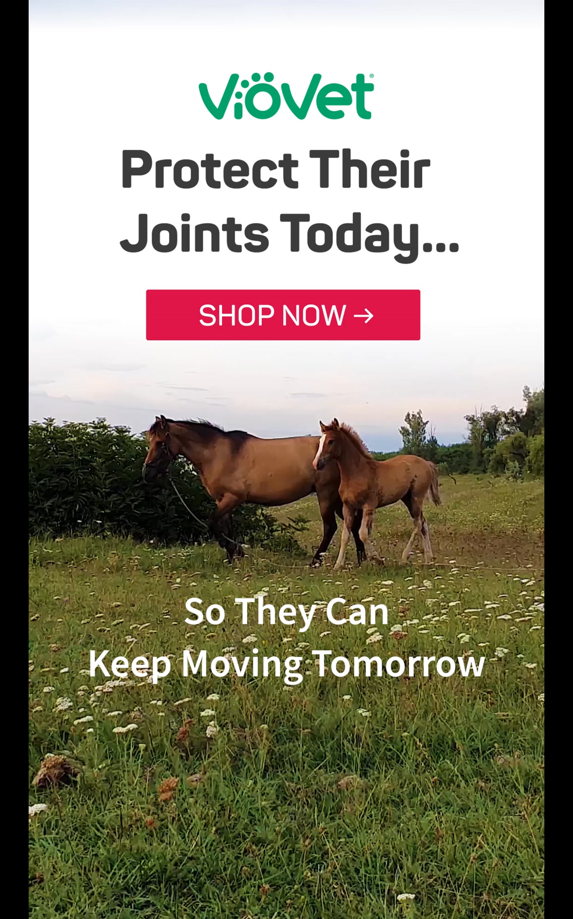 Keep them moving