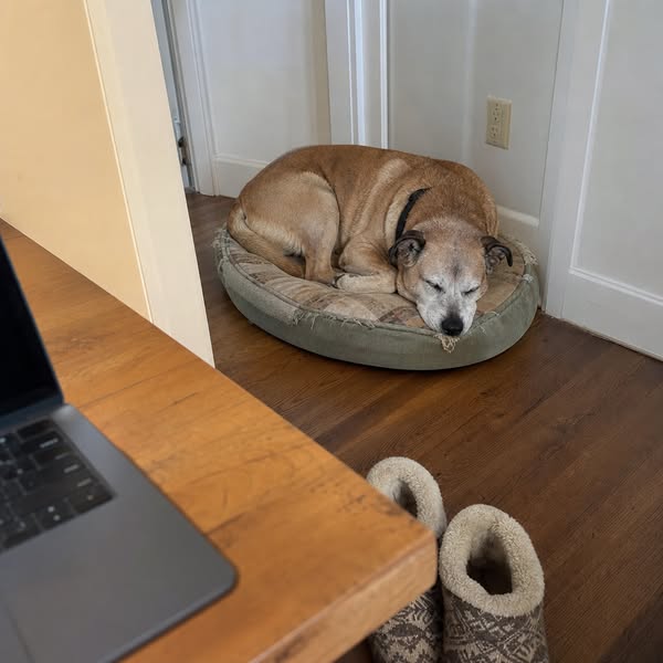 My hip was waking me up every night, and I'd been blaming my dog all along.