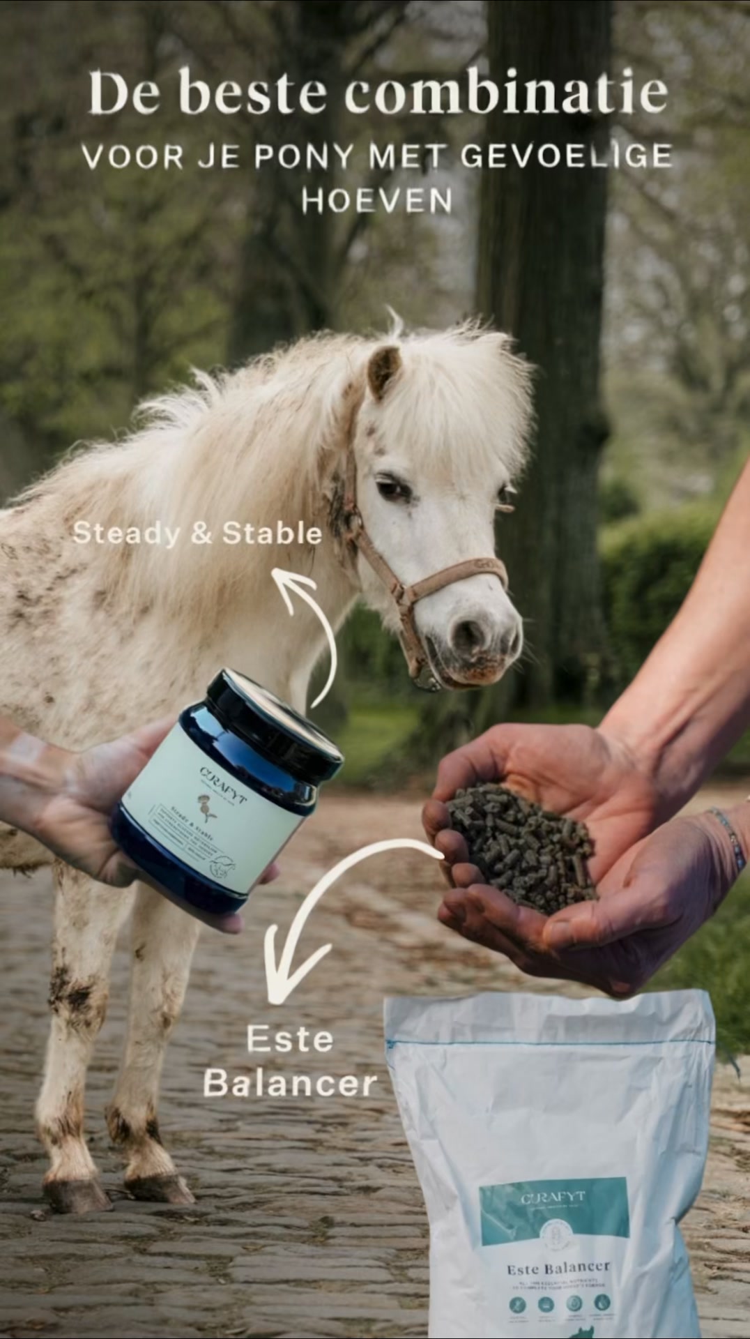 Waarom dierenartsen tijdens lente + herfst voor Steady & Stable kiezen