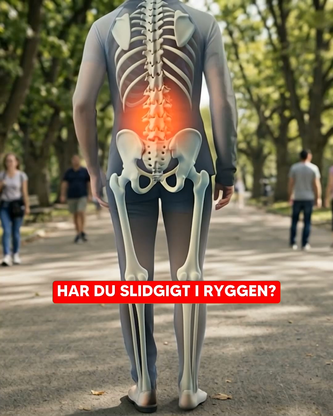 Aflast din slidte ryg med MyComfort Siddepude