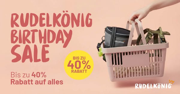 Bis zu 40% Rabatt im Birthday Sale!
