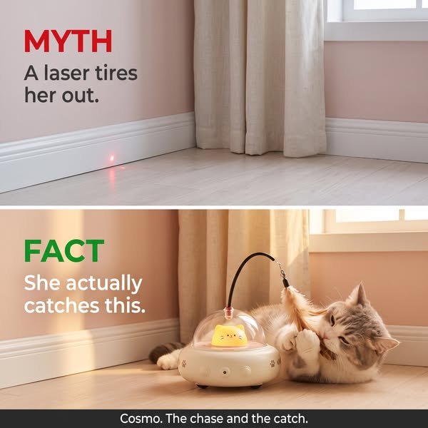 Myth: She's Actually Hunting